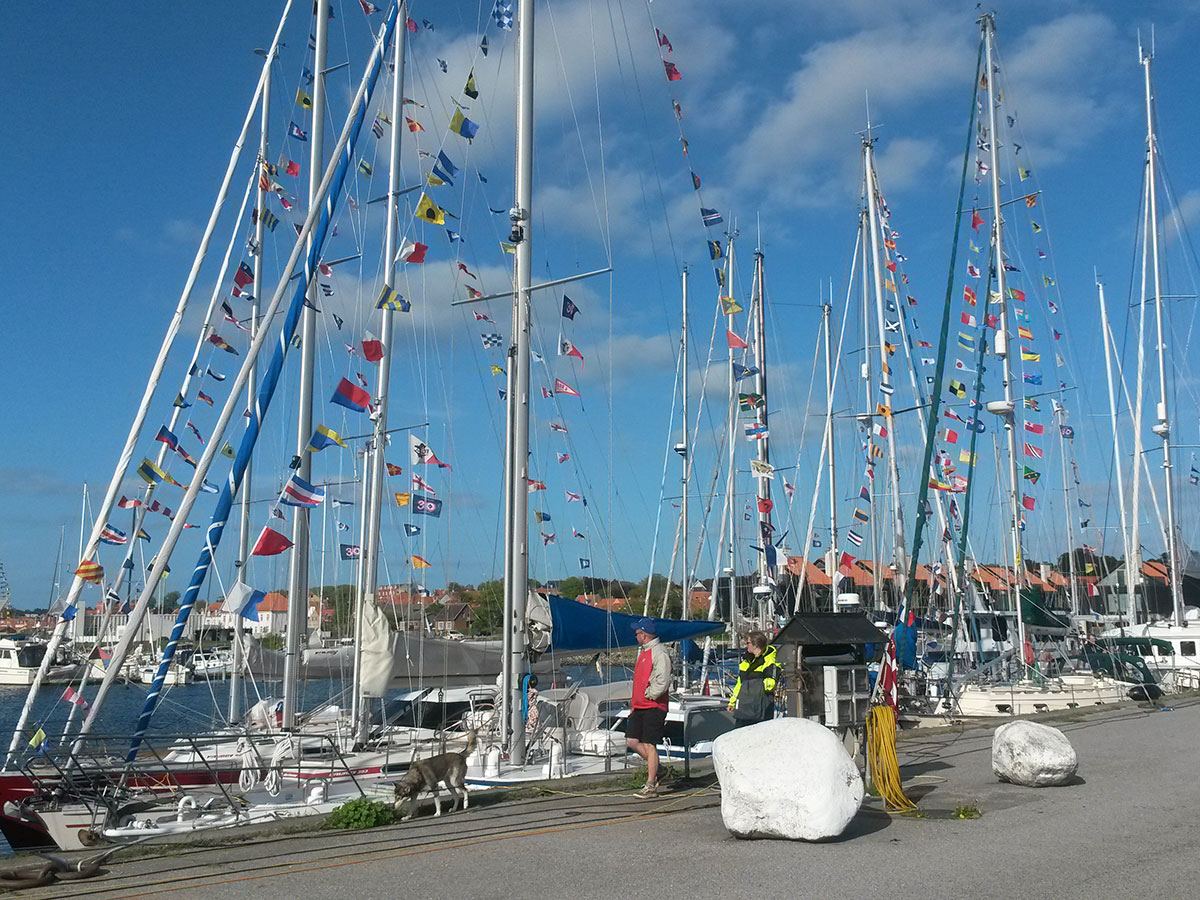Pinsetræf